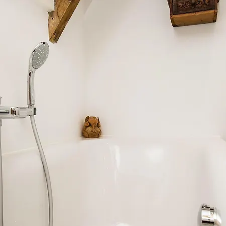 Zeevilla Duinhorst بيرشن أن زي