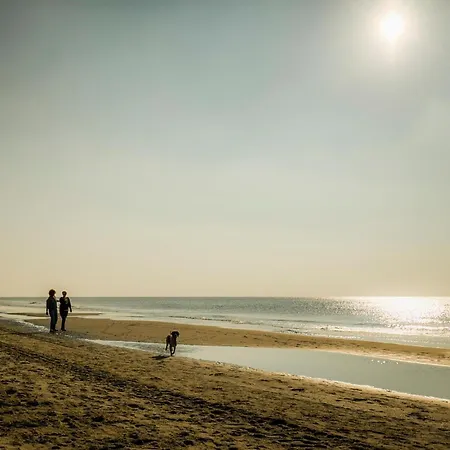 بيت للعطل Zeevilla Duinhorst